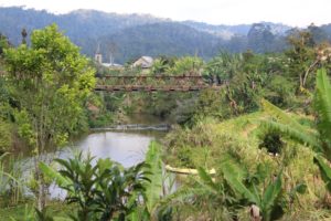 madagascar-environment-un