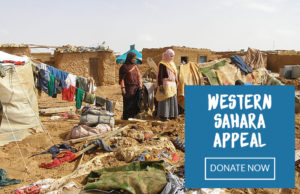 un-western-sahara-appeal